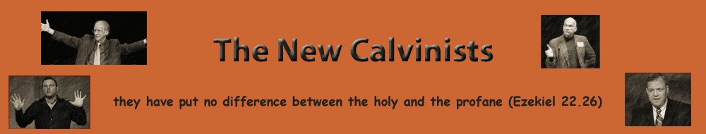 The New Calvinist